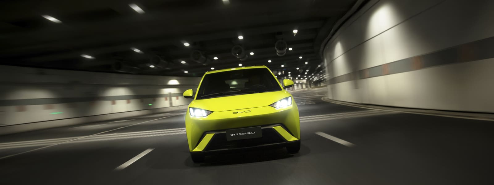 BYD Seagull